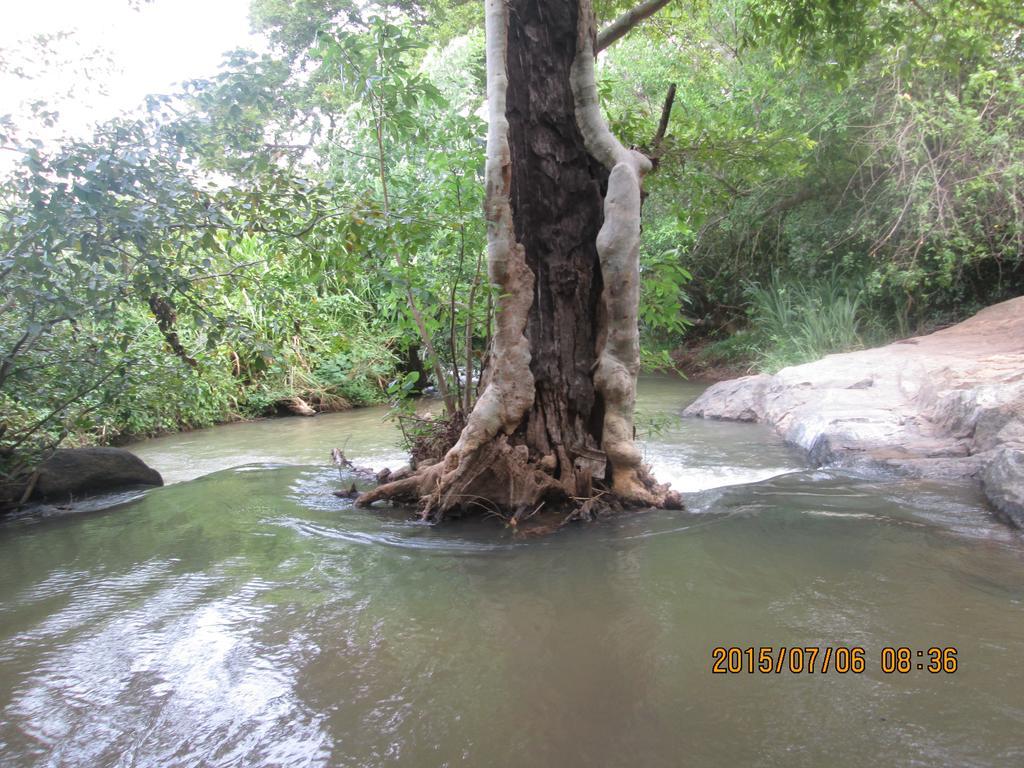 Homestay River Side