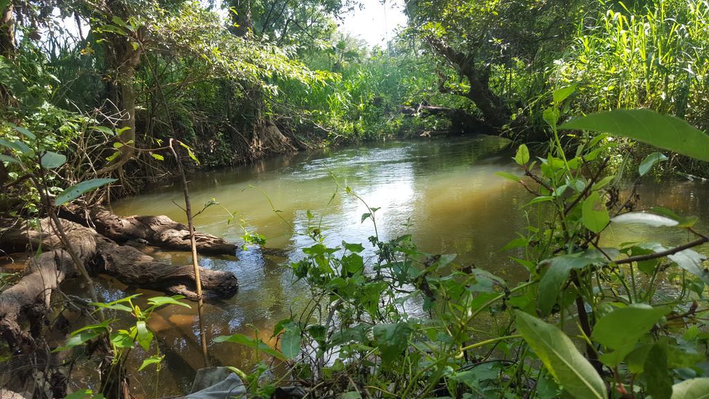 River Side Sigiriya