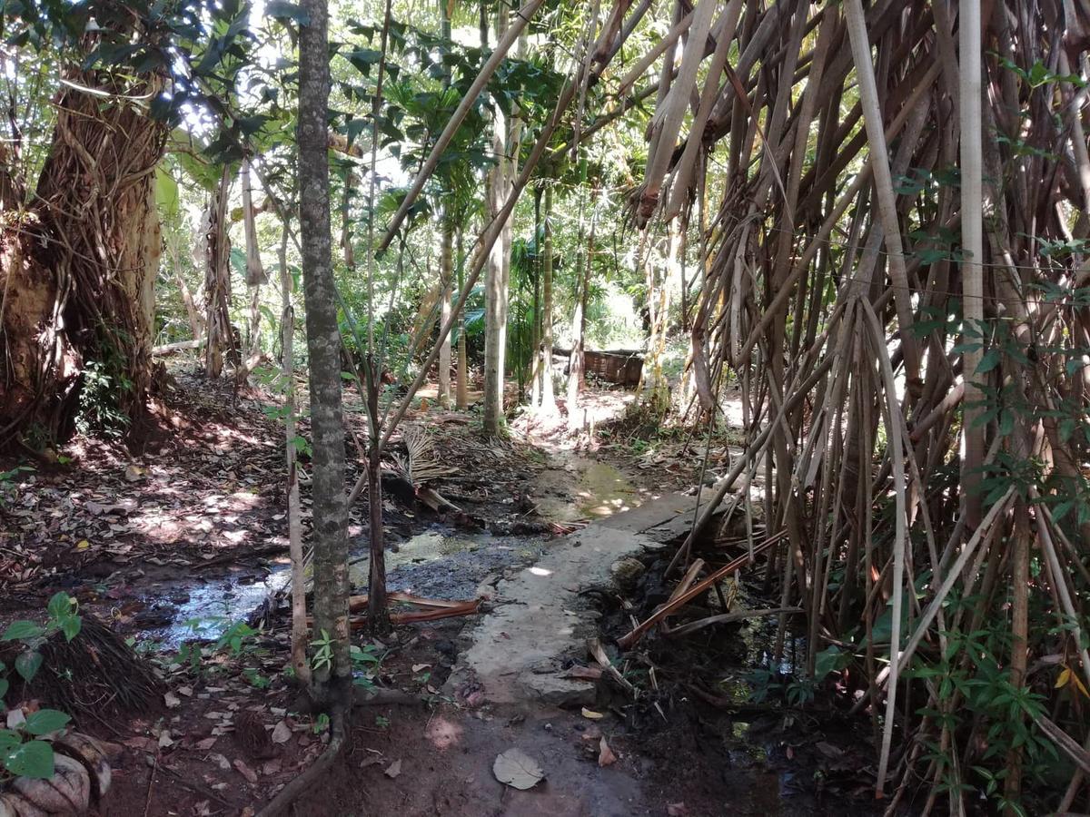 Homestay River Side